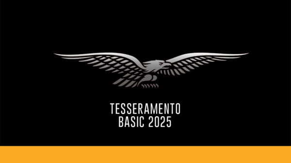 Basic 2025